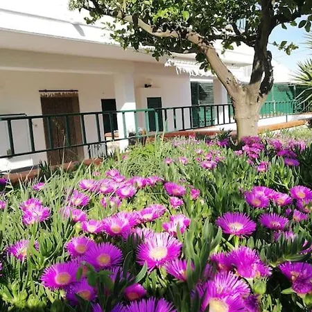 Tatil Evi Nicola *